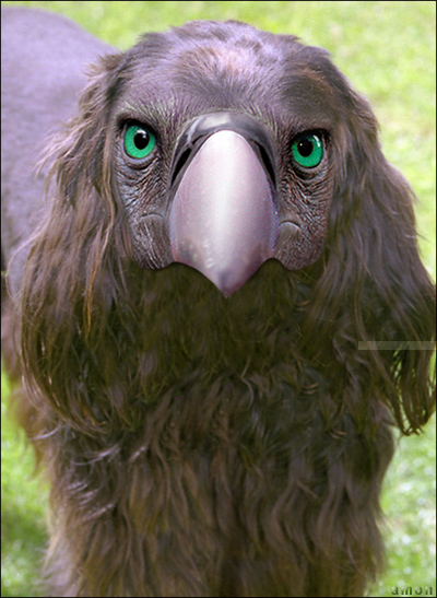 chienchien