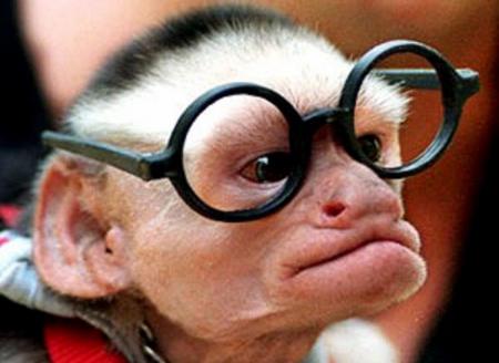 singe