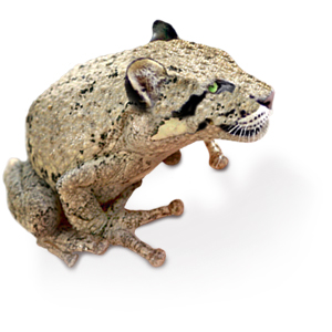 guépaud