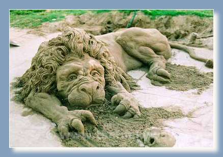 lion